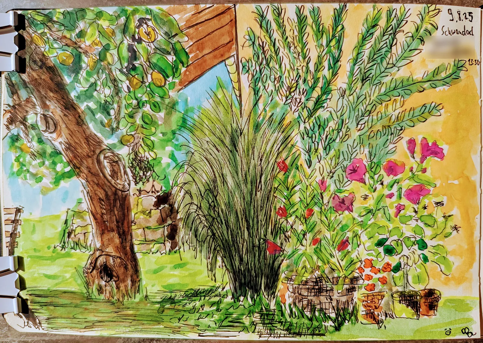 Finished watercolor sketch of the apple tree and garden shrubs